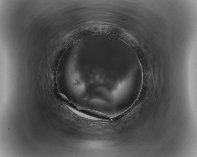 X0000086781013200704271805