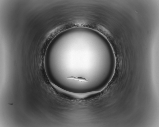 X0000086781016200704271806