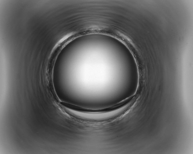 X0000086781018200704271806