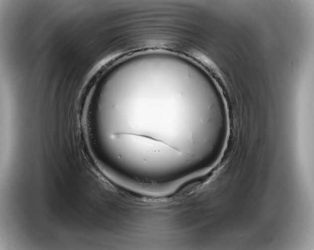 X0000086781019200704271806