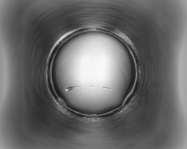 X0000086781020200704271806