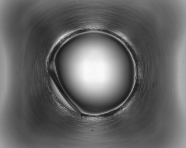 X0000086781022200704271806