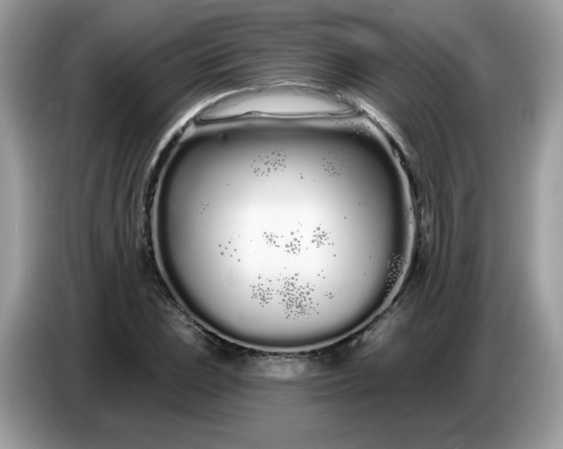 X0000086781023200704271806