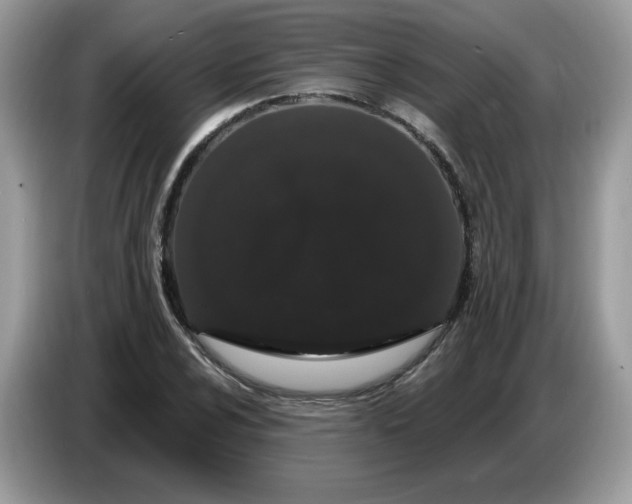 X0000086781024200704271806