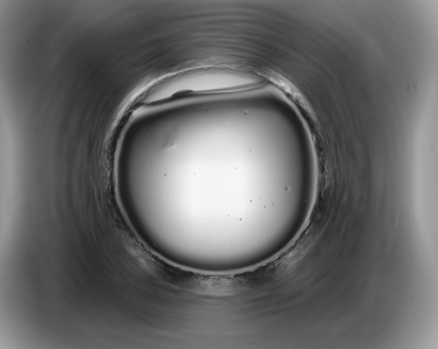 X0000086781027200704271806