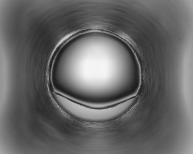 X0000086781028200704271806