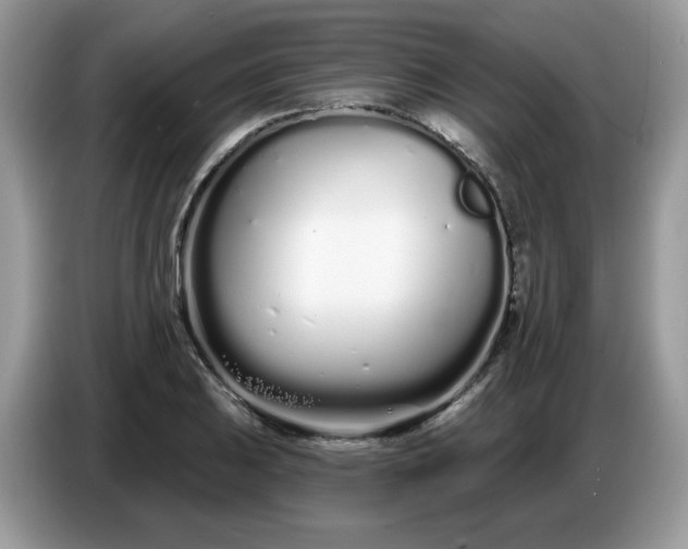 X0000086781031200704271806