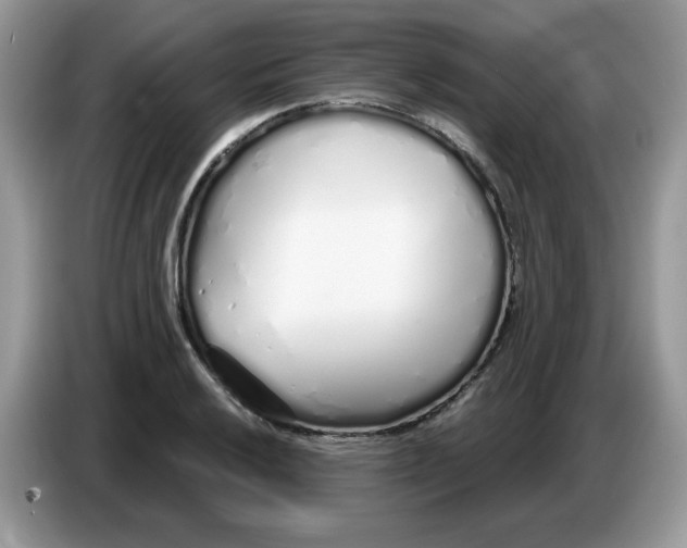 X0000086781032200704271806