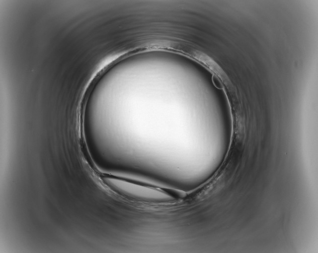 X0000086781036200704271806