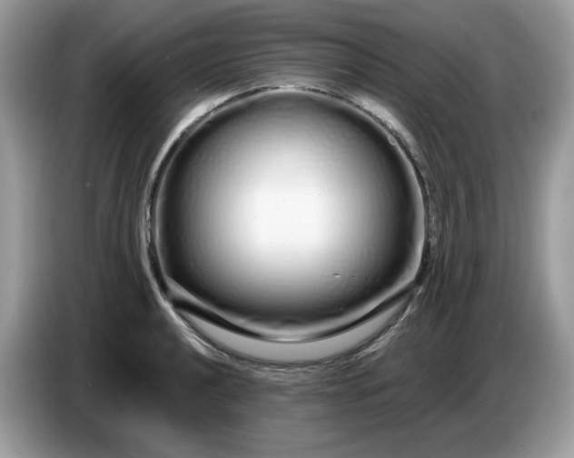 X0000086781040200704271806