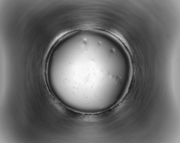 X0000086781043200704271806