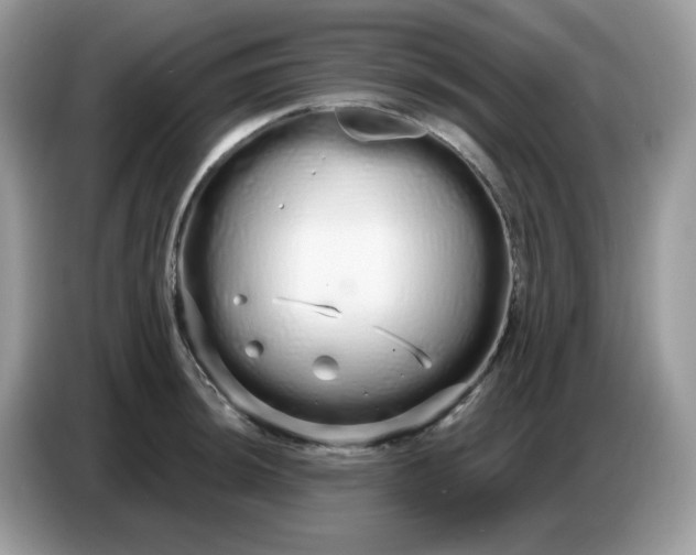 X0000086781044200704271806