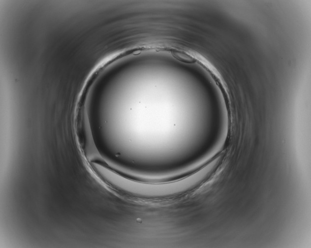 X0000086781045200704271806