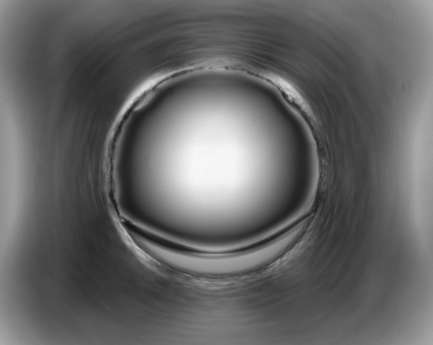 X0000086781046200704271806