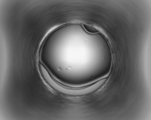 X0000086781048200704271806