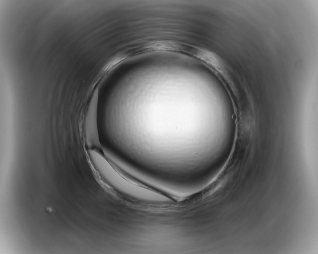 X0000086781049200704271806