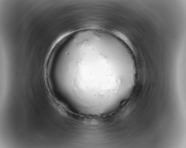 X0000086781051200704271806