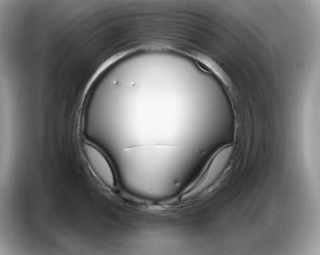 X0000086781052200704271806