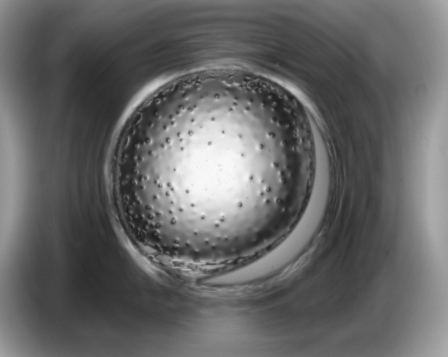 X0000086781054200704271806