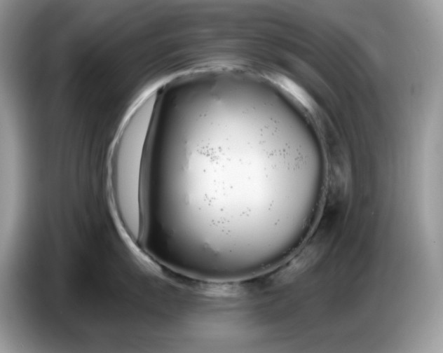 X0000086781055200704271806