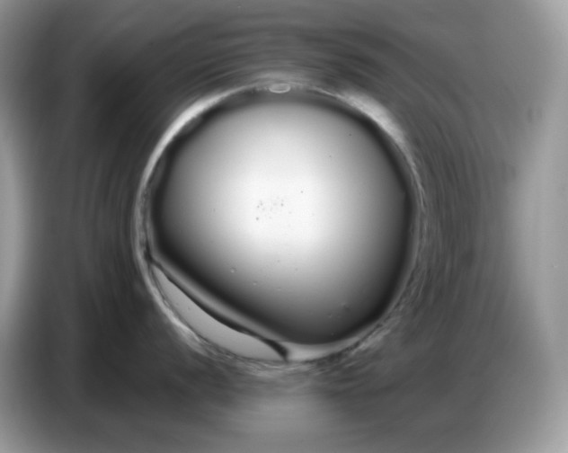 X0000086781056200704271806