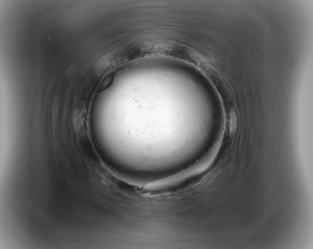 X0000086781059200704271805