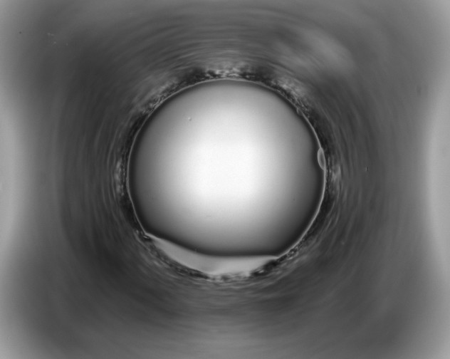 X0000086781060200704271805