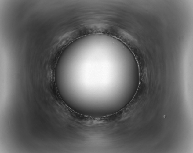 X0000086781061200704271805