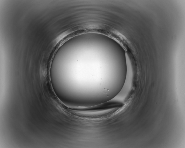 X0000086781065200704271805