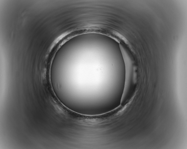 X0000086781066200704271805