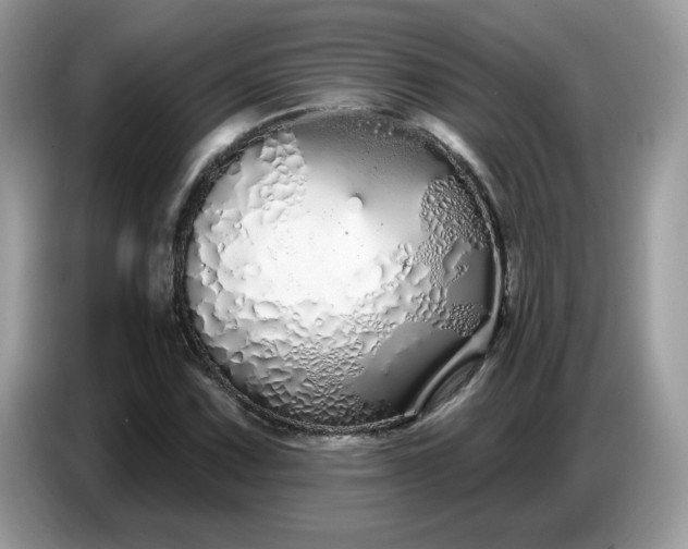 X0000086781067200704271805