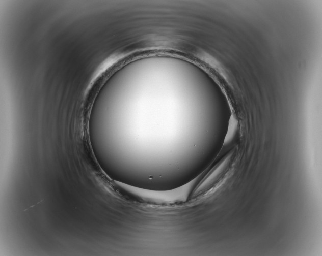 X0000086781069200704271805