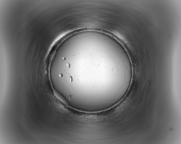 X0000086781070200704271805