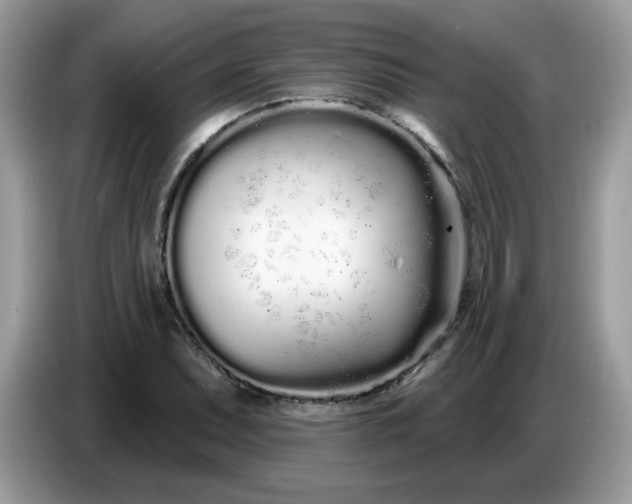 X0000086781071200704271805