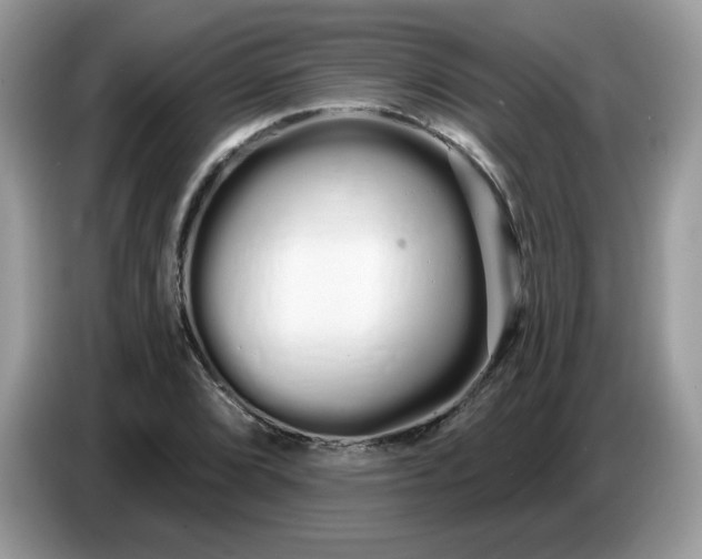 X0000086781072200704271805