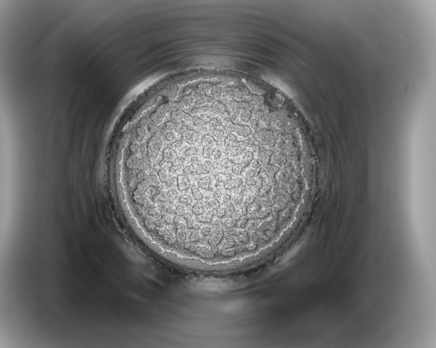 X0000086781074200704271805