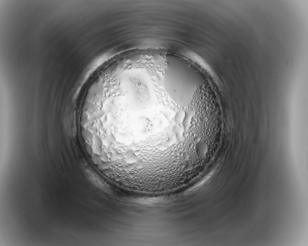 X0000086781075200704271805