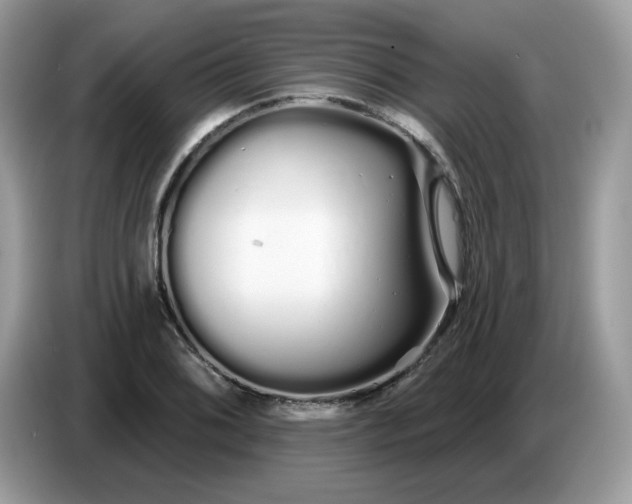 X0000086781076200704271805