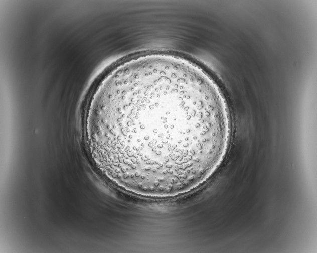 X0000086781078200704271805