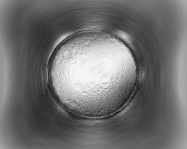 X0000086781079200704271805