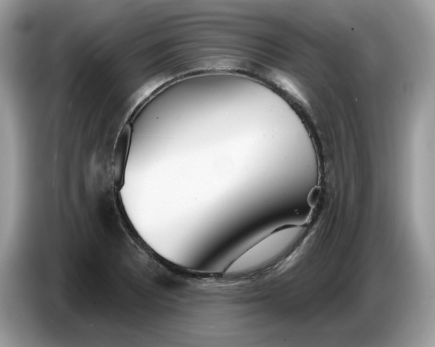 X0000086781081200704271805