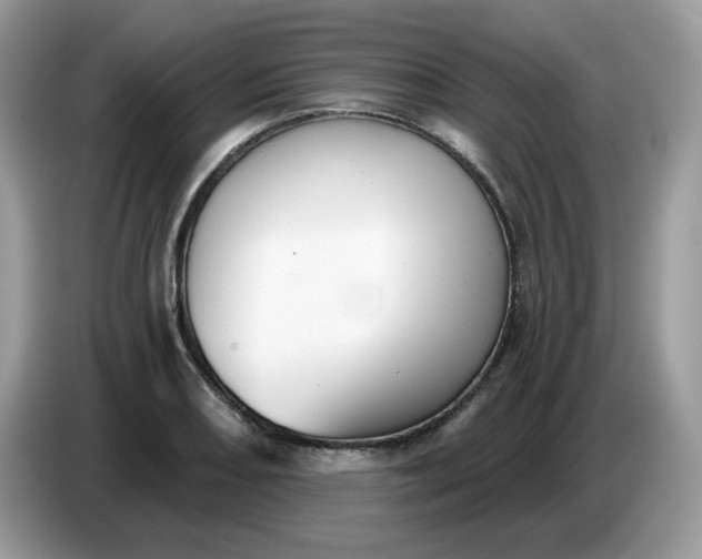 X0000086781082200704271805