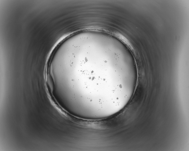 X0000086781084200704271805