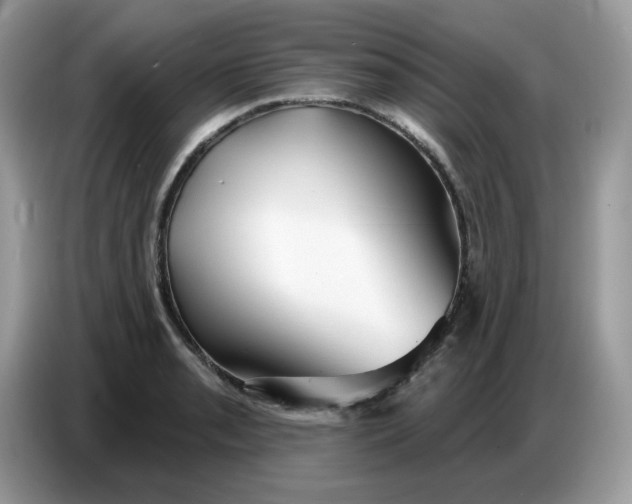 X0000086781085200704271805