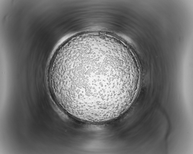 X0000086781086200704271805