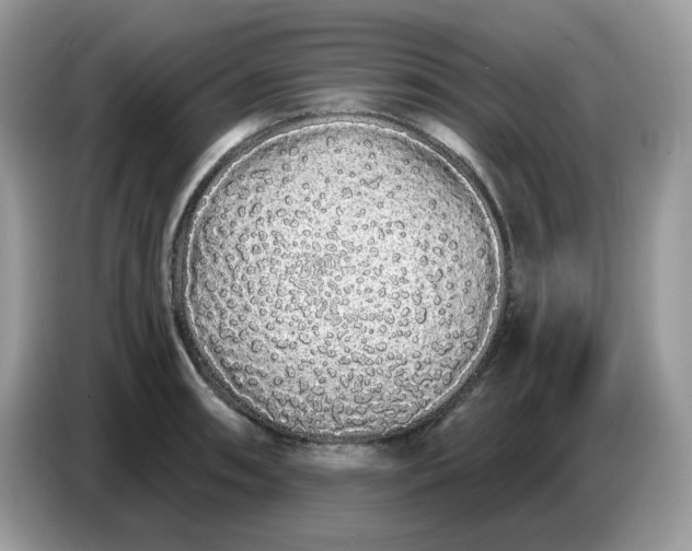 X0000086781090200704271805