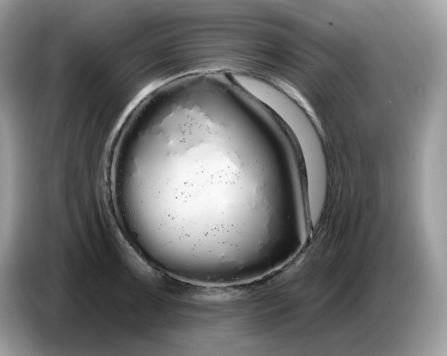 X0000086781091200704271805