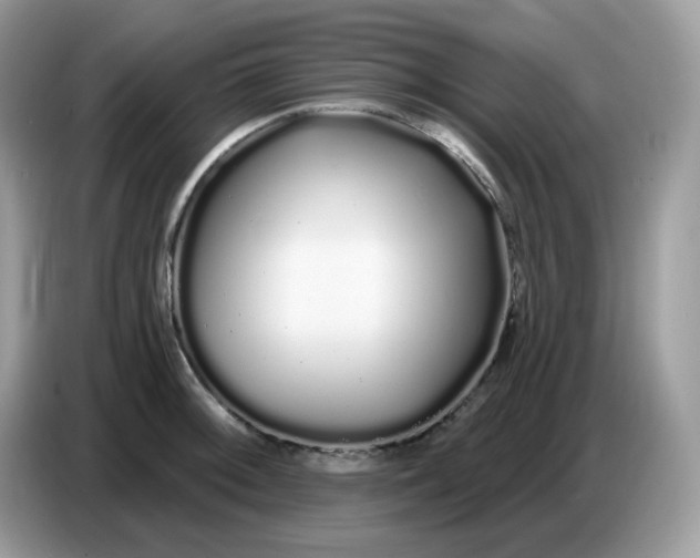 X0000086781092200704271805