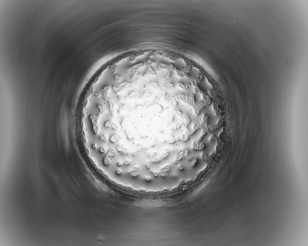 X0000086781094200704271805