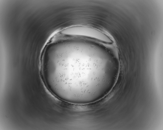 X0000086781095200704271805